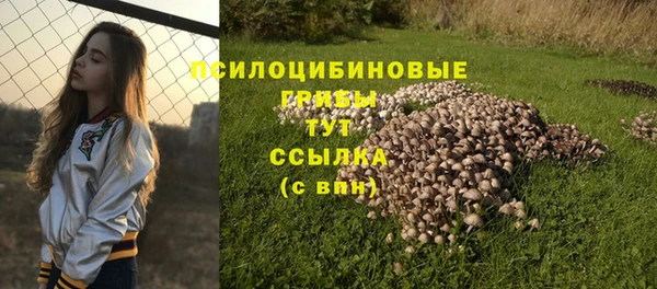 крисы Михайловск