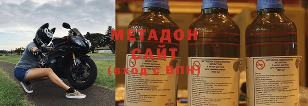 прущие грибы Михайловка