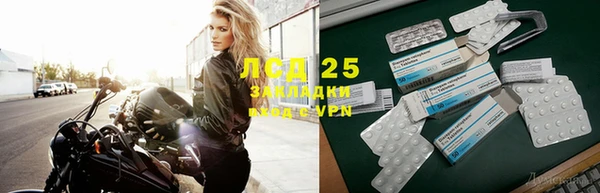 прущие грибы Михайловка