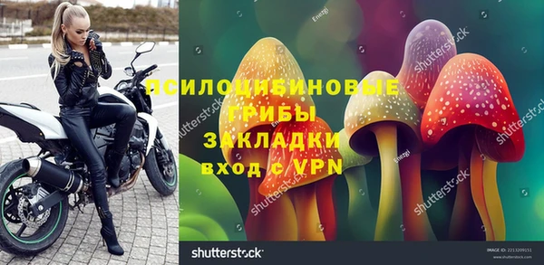 крисы Михайловск