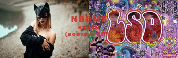 прущие грибы Михайловка