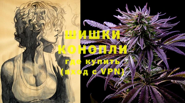 крисы Михайловск