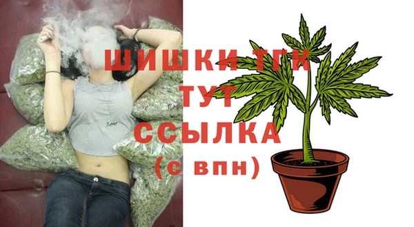 прущие грибы Михайловка
