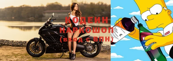 прущие грибы Михайловка