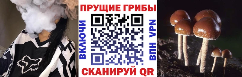 Псилоцибиновые грибы мухоморы  что такое наркотик  Ивдель 